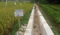 TRAGIS! DANA IRIGASI P3TGAI ASAHAN DISOROT, ENAM KELOMPOK PETANI MENGAKU TERLILIT UTANG DAN TEKANAN — Rp570 JUTA DIPERSOALKAN, APH DITANTANG UNGKAP FAKTA!